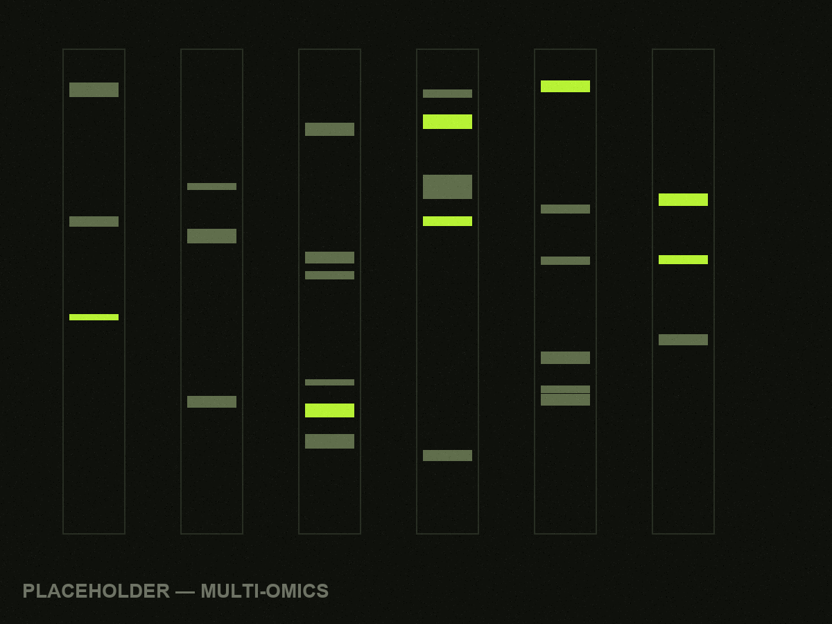 Abstract gel electrophoresis placeholder