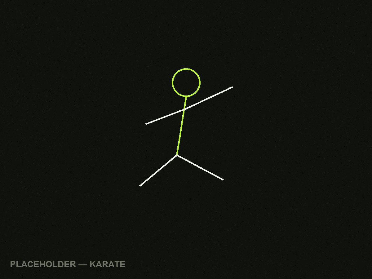 Abstract karate figure placeholder